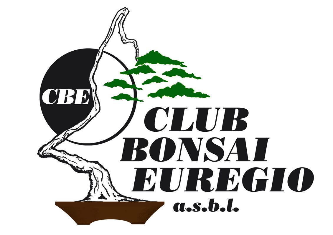 Club Bonsai Euregio asbl